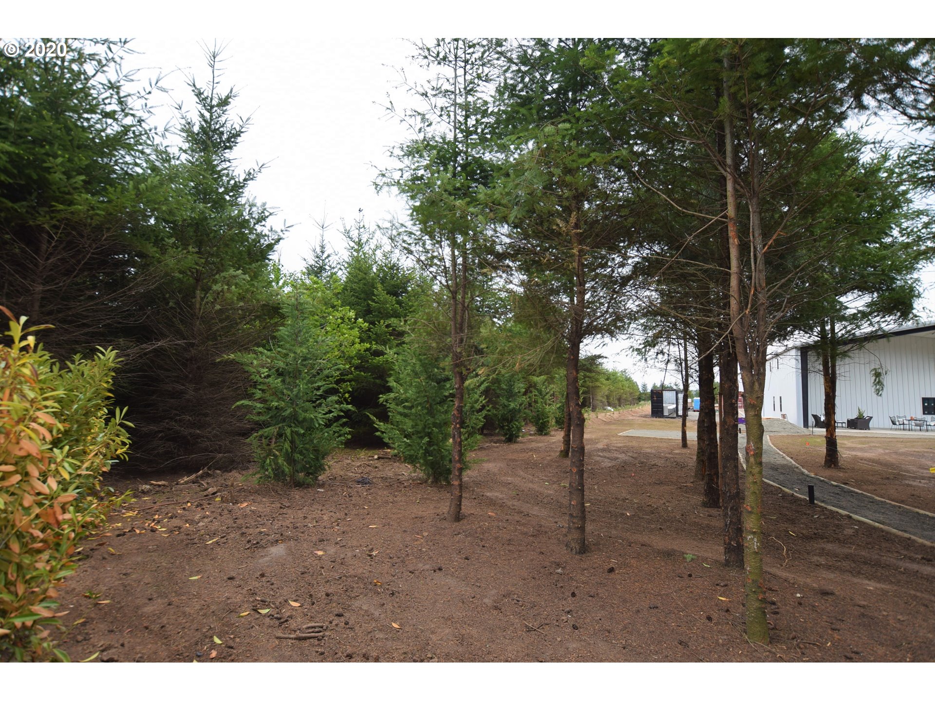 0 Boones Ferry Road Northeast Hubbard, OR 97032 - Photo 5 of 8