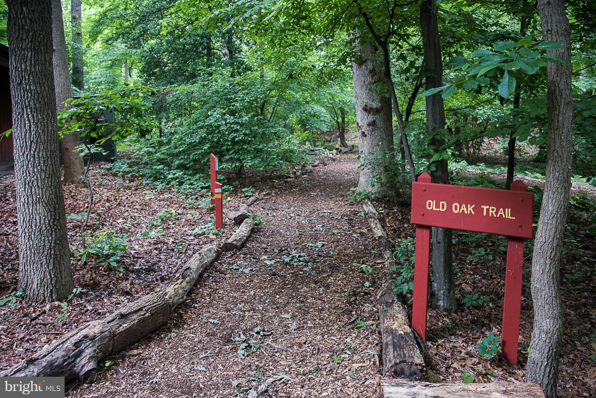 3806 Pleasant Ridge Road Annandale, VA 22003 - Photo 26 of 27 Walking Trails in Community - See Virtual Tour