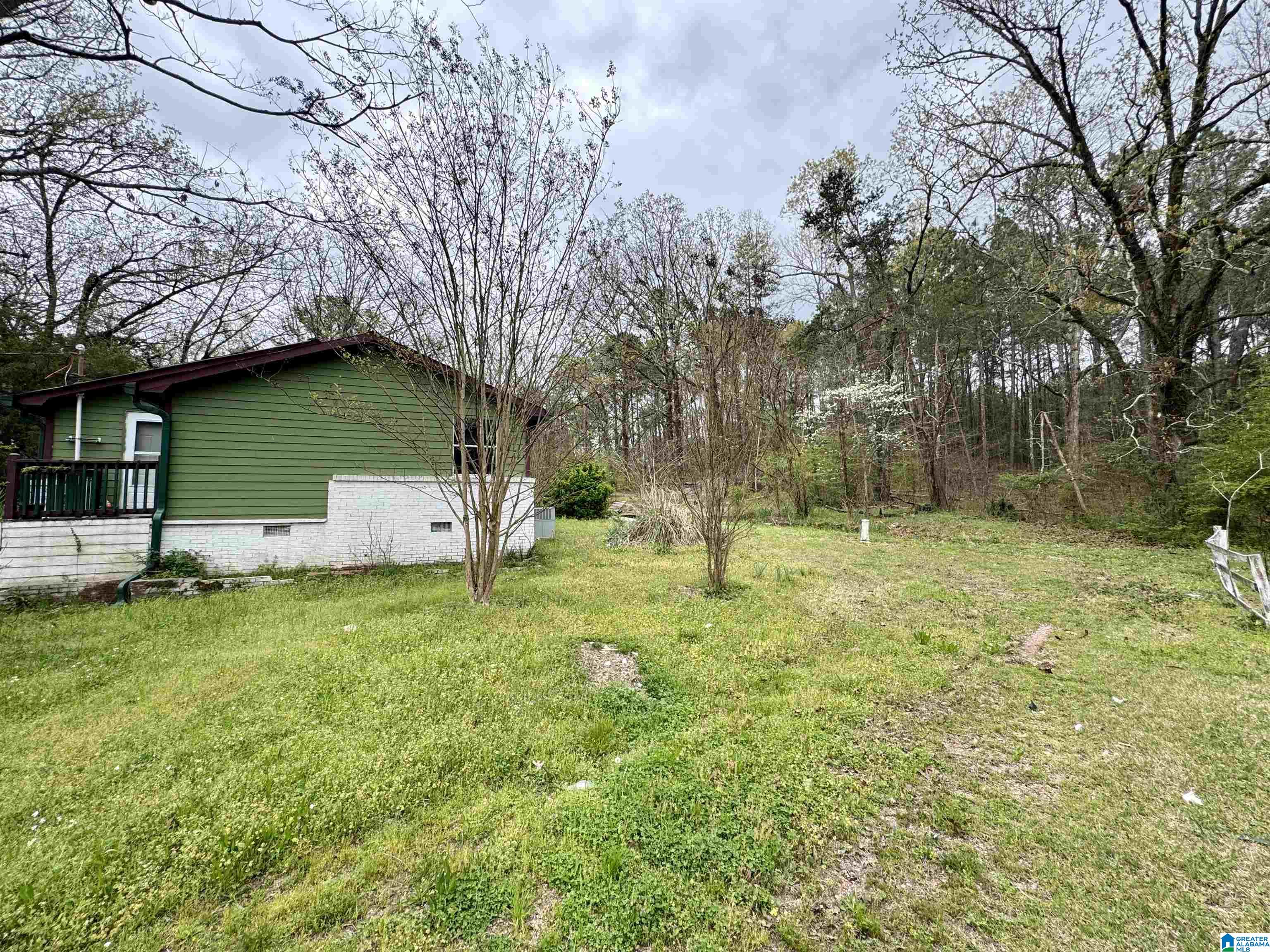 6420 Snowville Brent Road Dora, AL 35062 - Photo 13 of 22