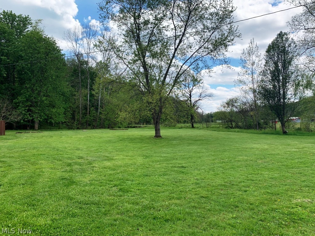 250 Radabaugh Road Marietta, OH 45750 - Photo 11 of 28 Side Yard to Back View