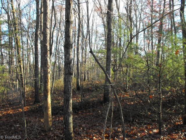Tbd Union Hill Road Thurmond, NC 28683 - Photo 1 of 1 Gallery Image 1