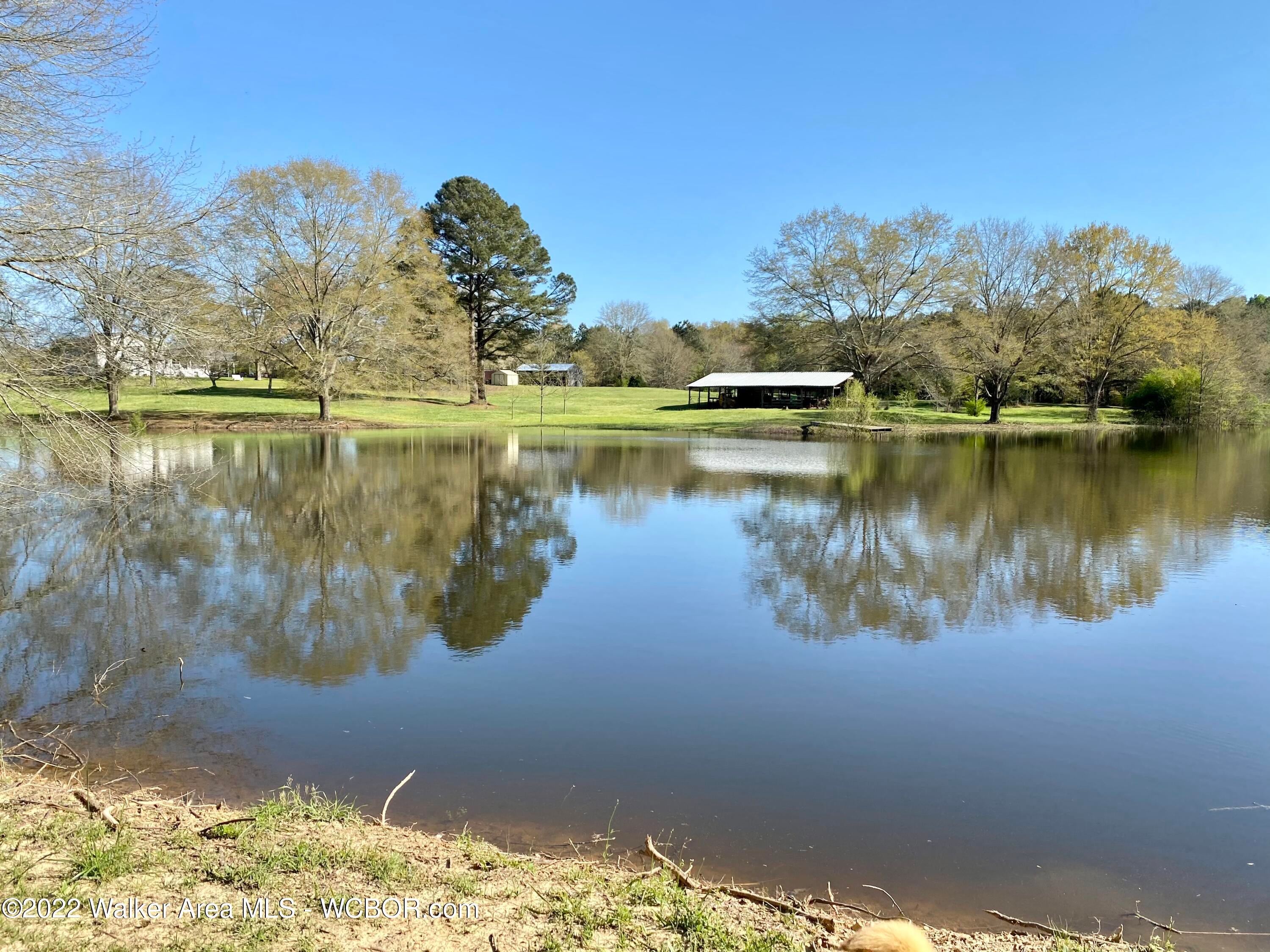 4677 Bird Farm Road Jasper, AL 35503 - Photo 21 of 26 Gallery Image 21