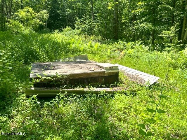 452 Pattison Road North Adams, MA 01247 - Photo 27 of 28 a view of a garden with small plants