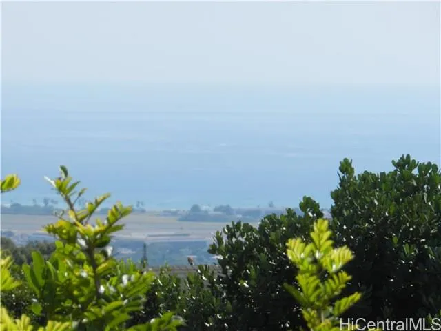 a view of a flower in a garden with a lake