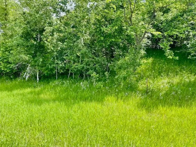 $89,900 | T134 R37 Sec 30 / Highway, Deer Creek, MN 56527