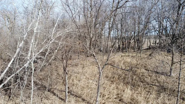 $89,900 | T134 R37 Sec 30 / Highway, Deer Creek, MN 56527