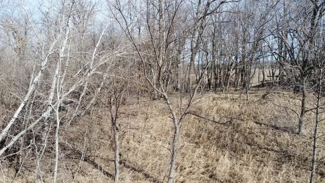 $89,900 | T134 R37 Sec 30 / Highway, Deer Creek, MN 56527