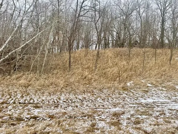 $89,900 | T134 R37 Sec 30 / Highway, Deer Creek, MN 56527