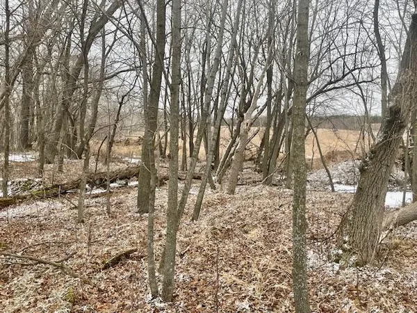 $89,900 | T134 R37 Sec 30 / Highway, Deer Creek, MN 56527