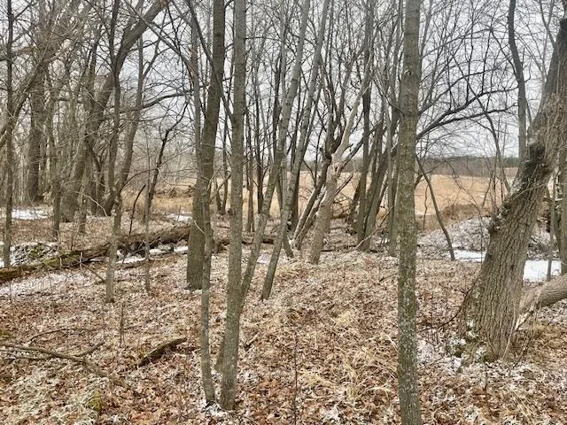 $89,900 | T134 R37 Sec 30 / Highway, Deer Creek, MN 56527