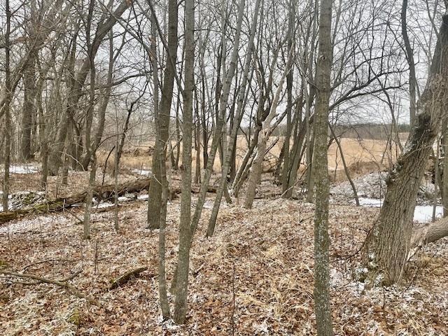 T134 R37 Sec 30 / Highway Deer Creek, MN 56527 - Photo 19 of 33