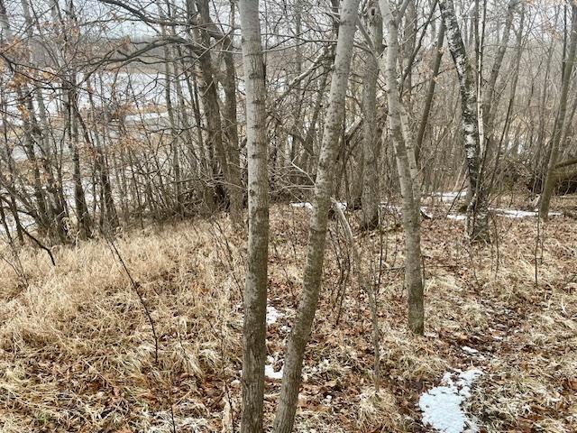 T134 R37 Sec 30 / Highway Deer Creek, MN 56527 - Photo 22 of 33