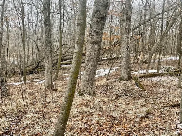 $89,900 | T134 R37 Sec 30 / Highway, Deer Creek, MN 56527