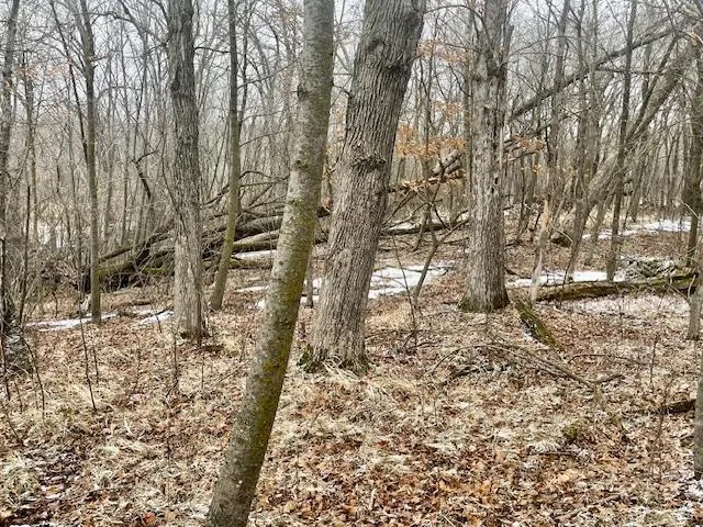 $89,900 | T134 R37 Sec 30 / Highway, Deer Creek, MN 56527