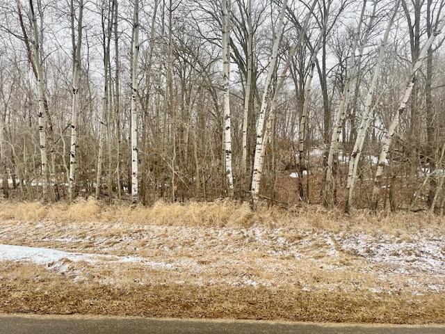 T134 R37 Sec 30 / Highway Deer Creek, MN 56527 - Photo 24 of 33