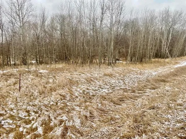 $89,900 | T134 R37 Sec 30 / Highway, Deer Creek, MN 56527