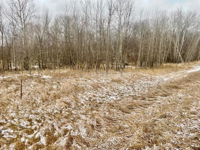 T134 R37 Sec 30 / Highway Deer Creek, MN 56527 - Photo 26 of 33