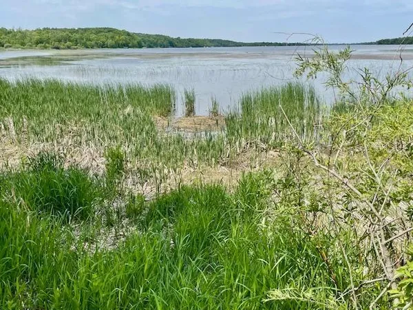 $89,900 | T134 R37 Sec 30 / Highway, Deer Creek, MN 56527