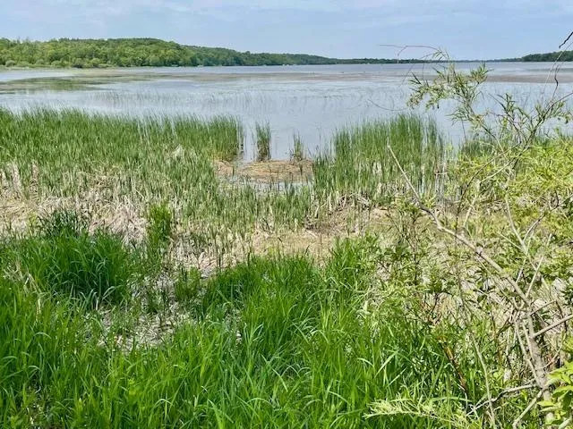 $89,900 | T134 R37 Sec 30 / Highway, Deer Creek, MN 56527