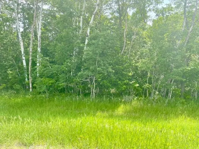 $89,900 | T134 R37 Sec 30 / Highway, Deer Creek, MN 56527