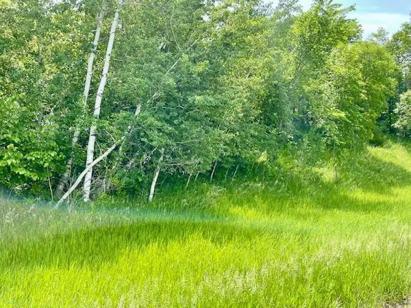 $89,900 | T134 R37 Sec 30 / Highway, Deer Creek, MN 56527