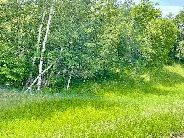 $89,900 | T134 R37 Sec 30 / Highway, Deer Creek, MN 56527