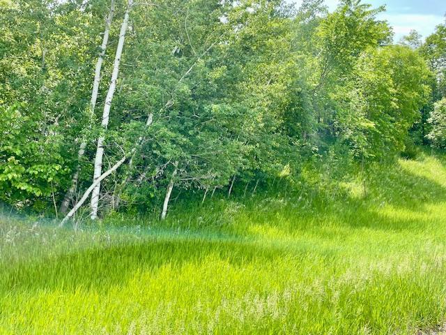 T134 R37 Sec 30 / Highway Deer Creek, MN 56527 - Photo 32 of 33