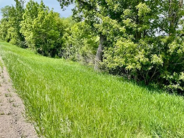 $89,900 | T134 R37 Sec 30 / Highway, Deer Creek, MN 56527