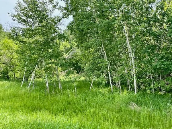 $89,900 | T134 R37 Sec 30 / Highway, Deer Creek, MN 56527