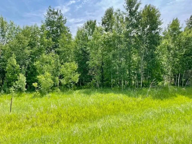 $89,900 | T134 R37 Sec 30 / Highway, Deer Creek, MN 56527