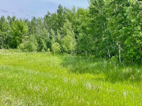 $89,900 | T134 R37 Sec 30 / Highway, Deer Creek, MN 56527