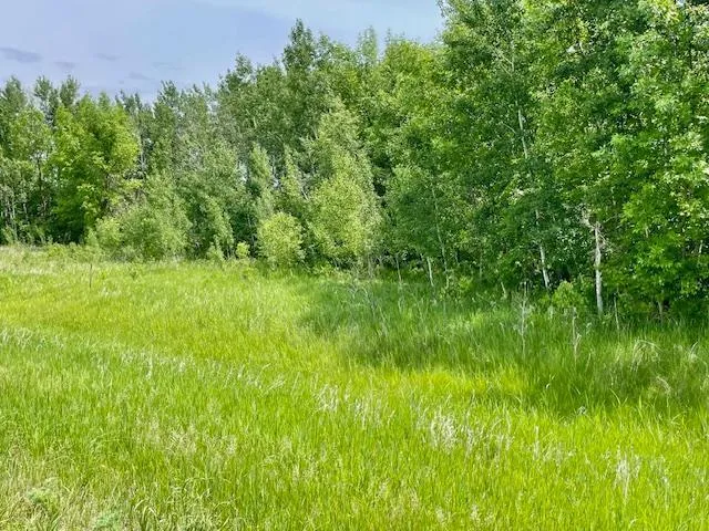 $89,900 | T134 R37 Sec 30 / Highway, Deer Creek, MN 56527