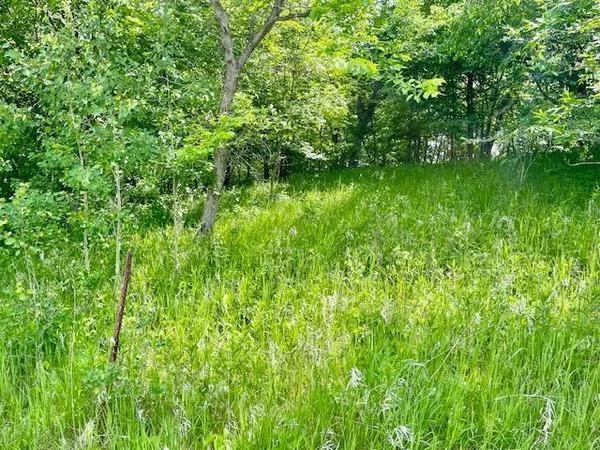 $89,900 | T134 R37 Sec 30 / Highway, Deer Creek, MN 56527