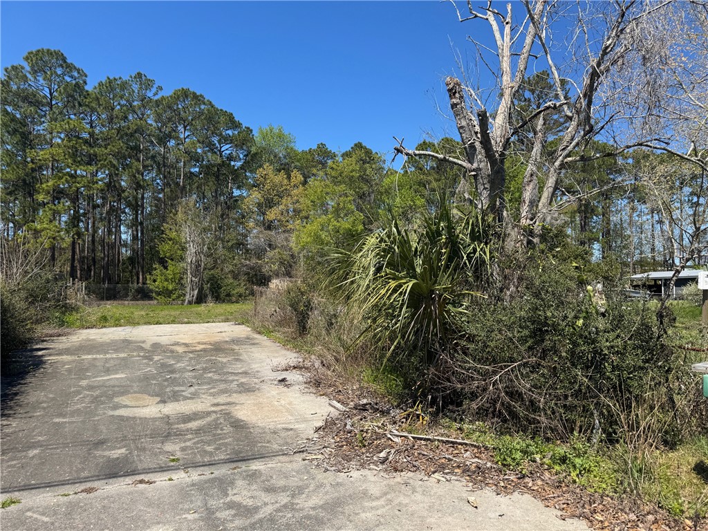 555 Kell Road Brunswick, GA 31525 - Photo 3 of 4