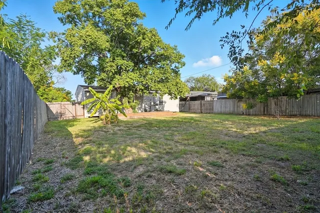 a view of a yard with a tree