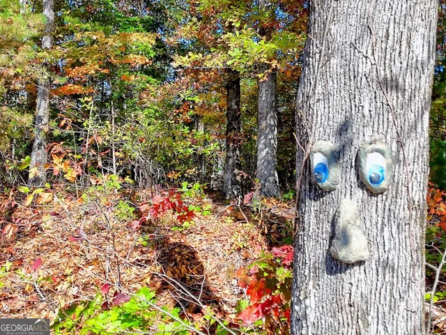 $64,900 | 20 Victoria Wds Circle, Hiawassee, GA 30546