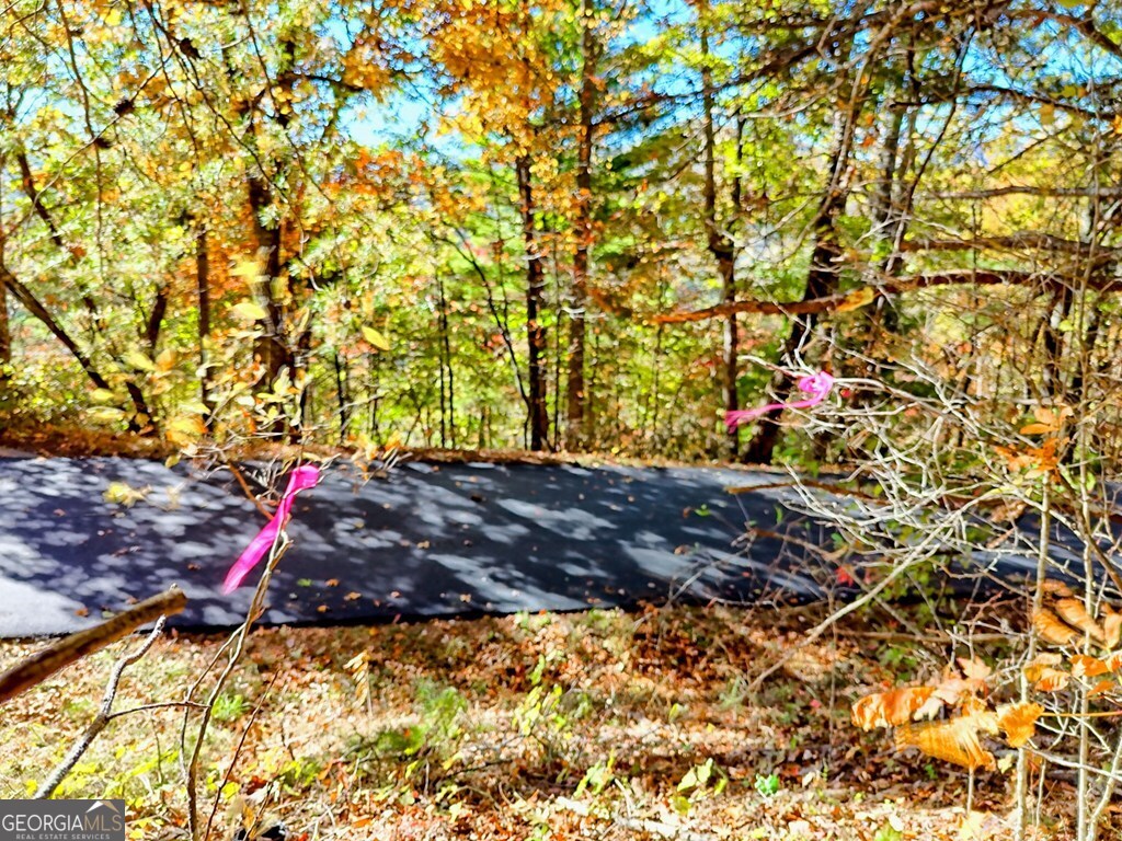 20 Victoria Wds Circle Hiawassee, GA 30546 - Photo 12 of 17 a view of tree