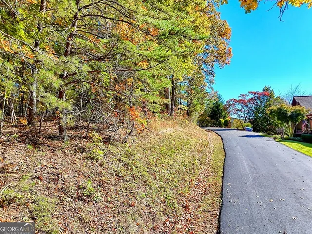 $64,900 | 20 Victoria Wds Circle, Hiawassee, GA 30546