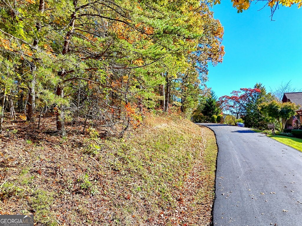 20 Victoria Wds Circle Hiawassee, GA 30546 - Photo 3 of 17 a view of a garden with flowers and trees