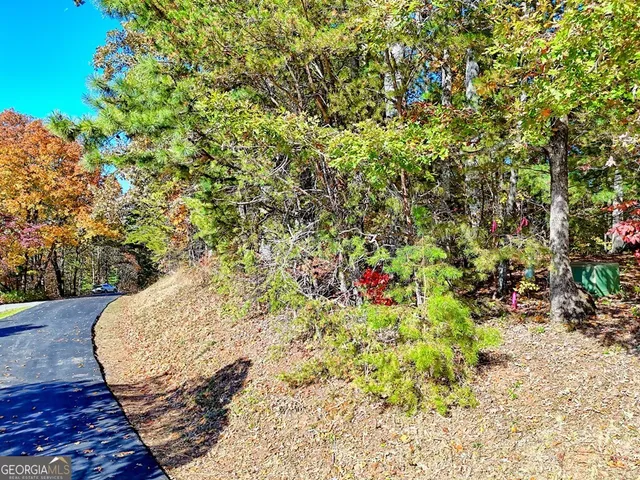 $64,900 | 20 Victoria Wds Circle, Hiawassee, GA 30546