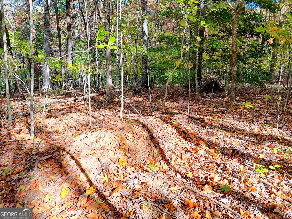 20 Victoria Wds Circle Hiawassee, GA 30546 - Photo 5 of 17 a row of trees