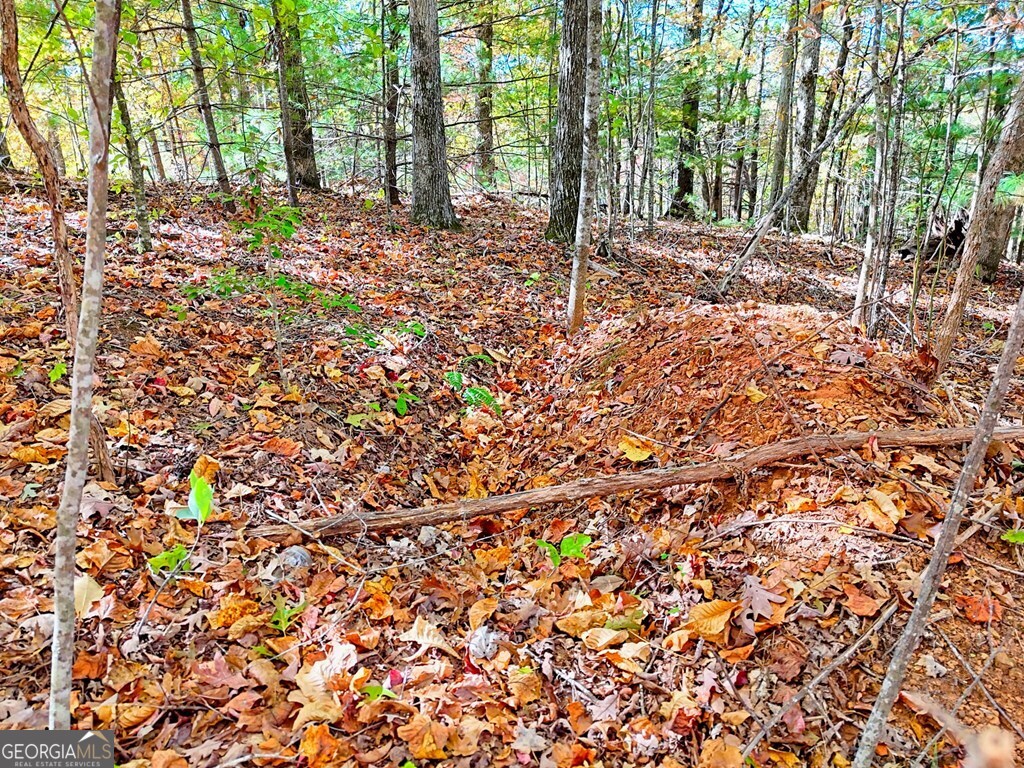 20 Victoria Wds Circle Hiawassee, GA 30546 - Photo 6 of 17 a backyard of a house with lots of green space and trees