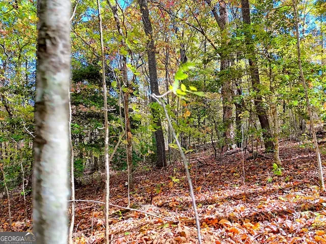 $64,900 | 20 Victoria Wds Circle, Hiawassee, GA 30546