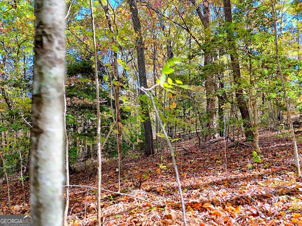 20 Victoria Wds Circle Hiawassee, GA 30546 - Photo 7 of 17 a backyard of a house