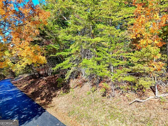 $64,900 | 20 Victoria Wds Circle, Hiawassee, GA 30546