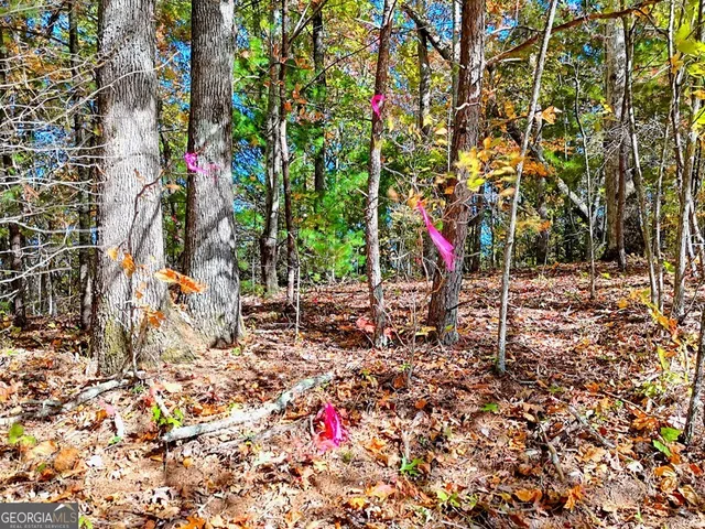 $64,900 | 20 Victoria Wds Circle, Hiawassee, GA 30546