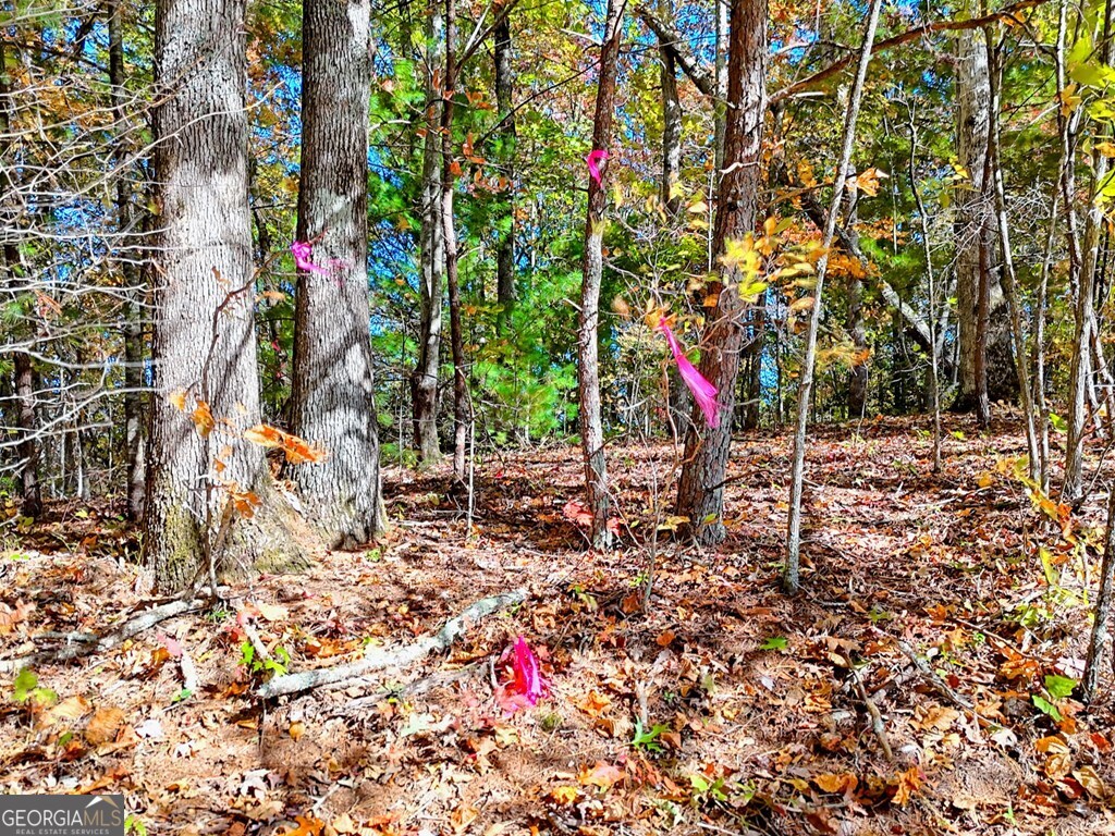 20 Victoria Wds Circle Hiawassee, GA 30546 - Photo 10 of 17 a backyard of a house with lots of green space