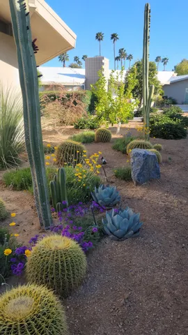 a view of a garden with a lot of flower plants and wooden fence