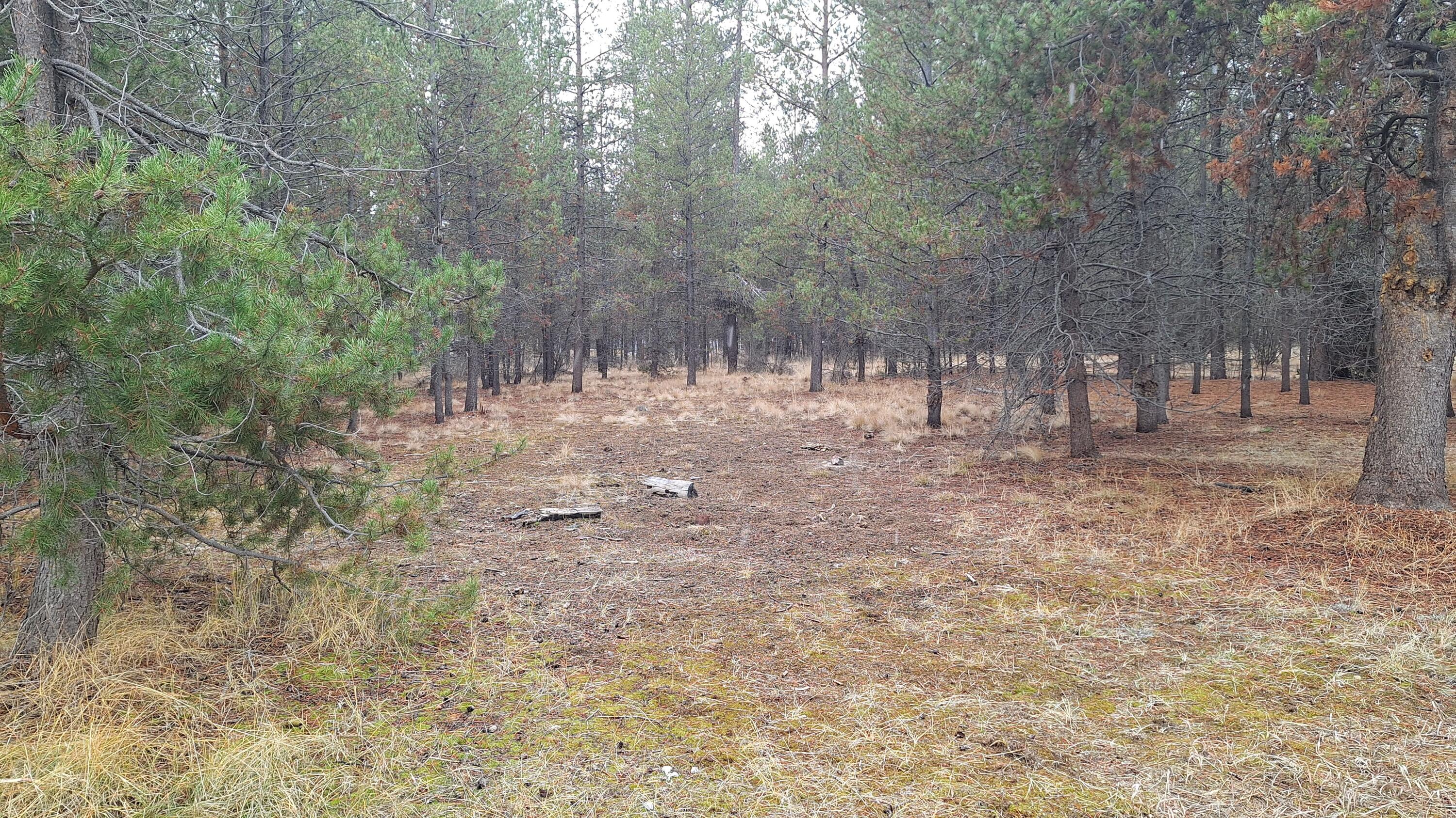 16083 Burgess Road La Pine, OR 97739 - Photo 12 of 19 20241116_144354