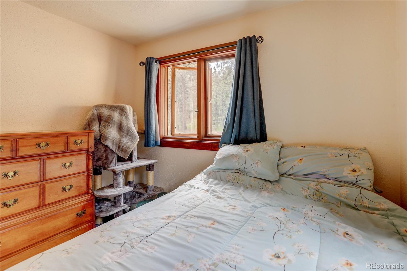 700 Rosalie Road Bailey, CO 80421 - Photo 14 of 38